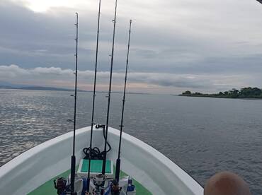 I jigg half nice day joe.