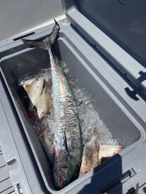 Holmes Beach Report Photo 1