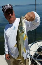 Snook And Redfish On The Move!