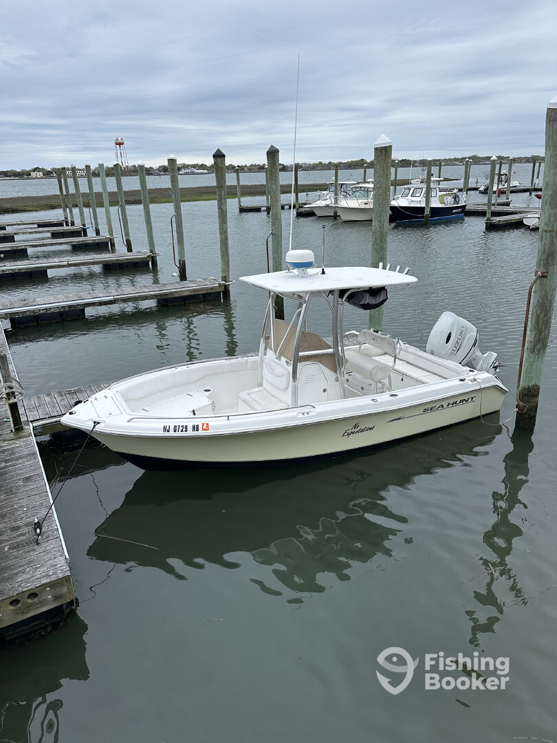 Cape May Report Photo 0