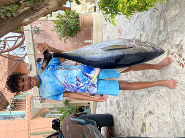 27 tunas on our full-day trip!
