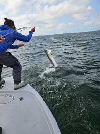 Inshore tarpon and permit 
