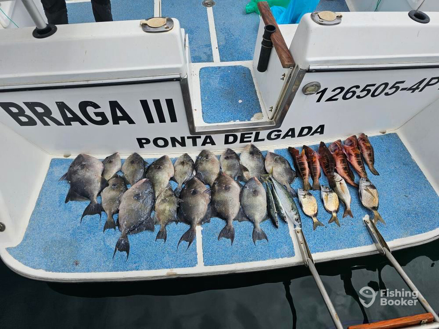 Povoacao Report Photo 0