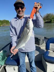 Redding Report Photo 2