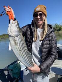 Got Quality Big Stripers on plugs & minn