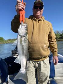 Redding Report Photo 1