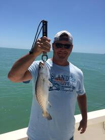 Marco Island Report Photo 1