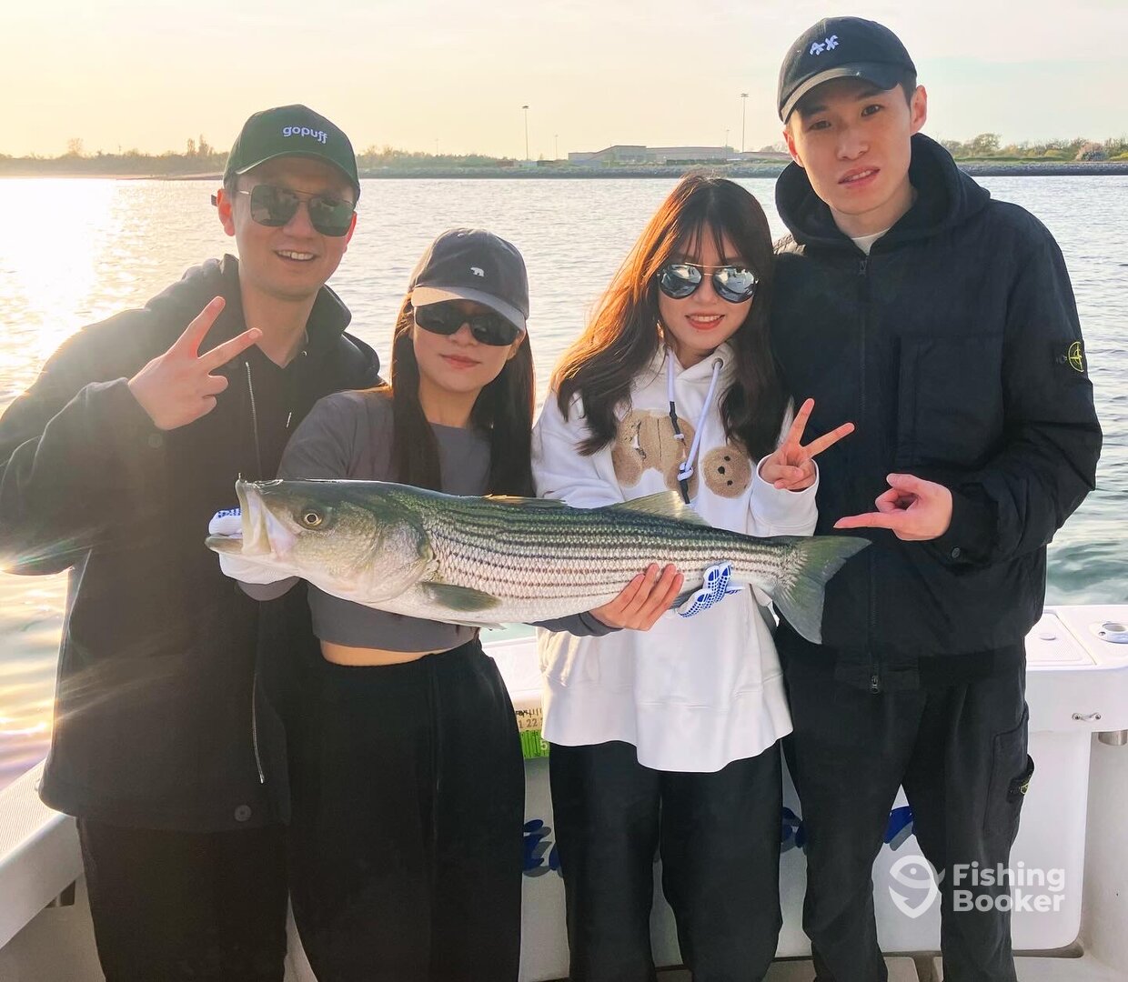 New York City Report Photo 0