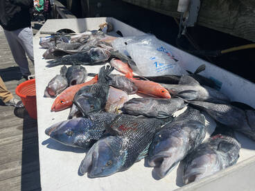 Mount Pleasant Report Photo 2