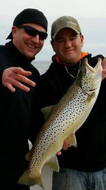 Williamson Report Photo 2