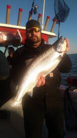 Williamson Report Photo 1