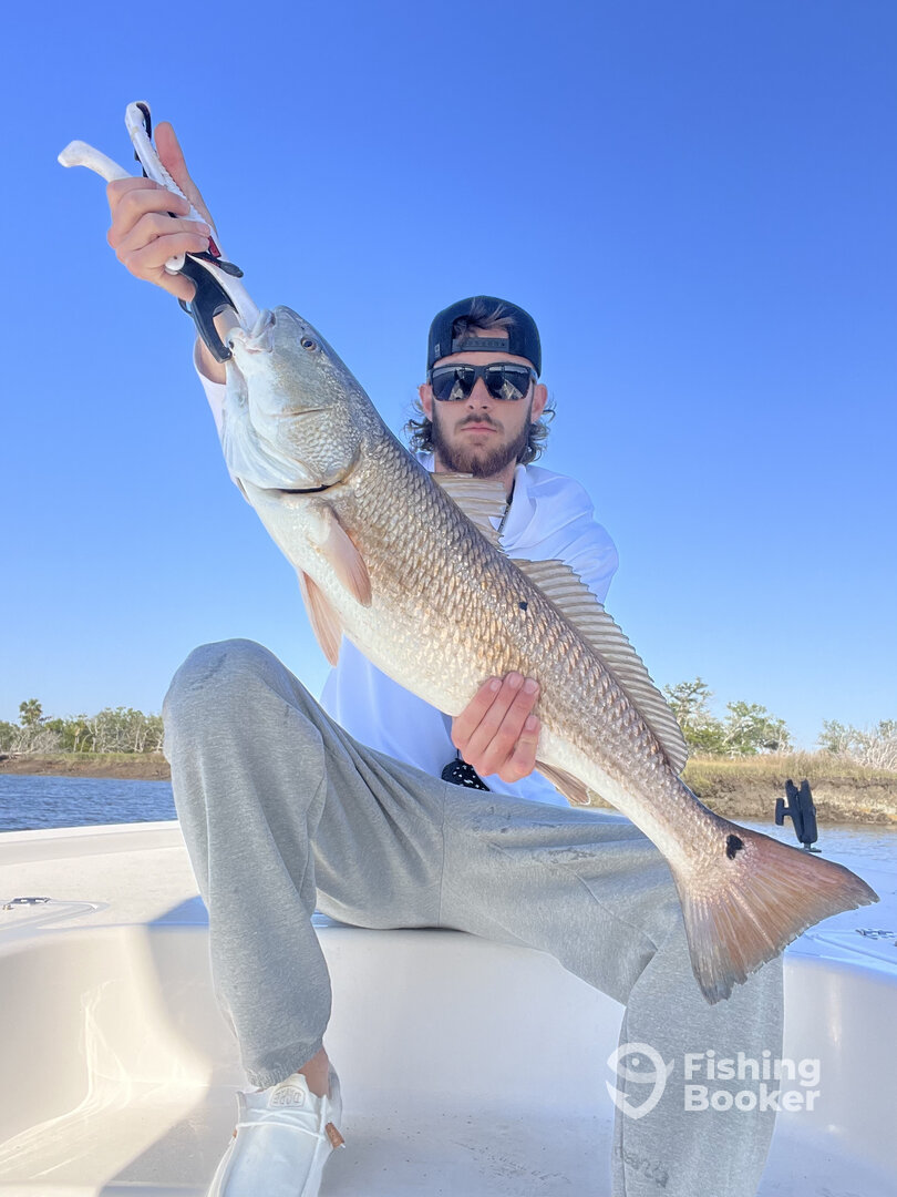 Edisto Beach Report Photo 0