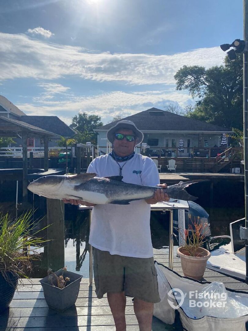 Jacksonville Beach Report Photo 0