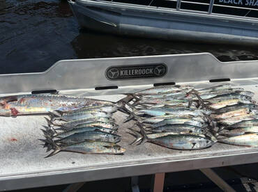 FIRST KING OF THE SEASON and bunch of sp