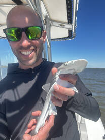 Midway Report Photo 1