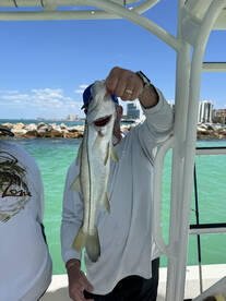 Clearwater Report Photo 2