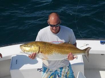 Nags Head Report Photo 1