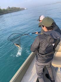 London Report Photo 1