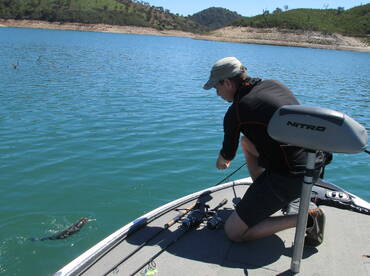 April and a good fishing day