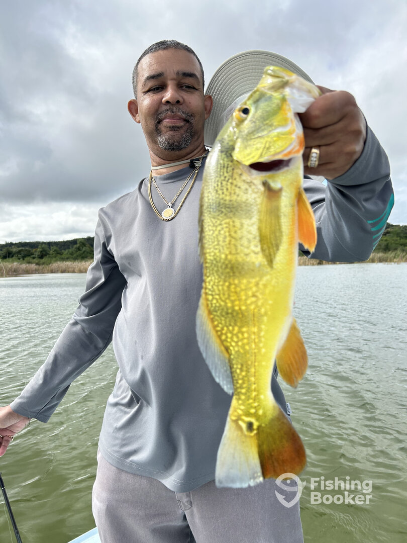 Carolina Report Photo 0