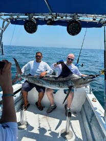 Puerto Vallarta Report Photo 2