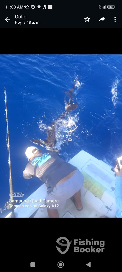 Herradura Report Photo 0