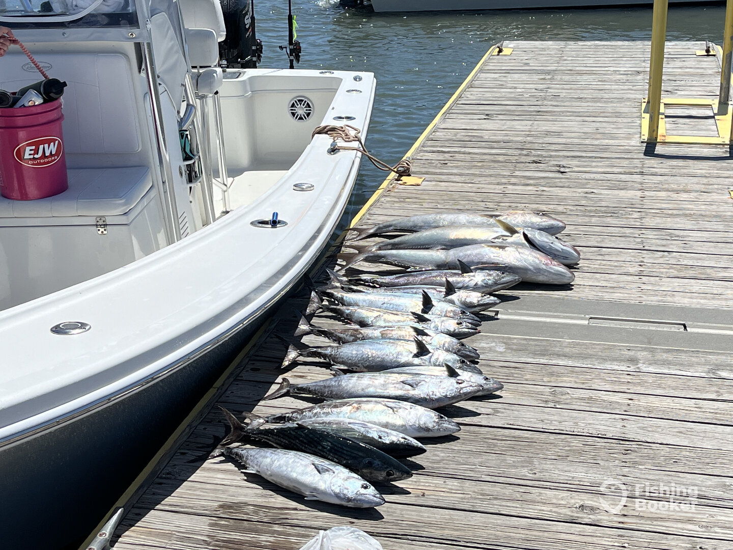 Beaufort Report Photo 0