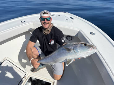 Beaufort Report Photo 2