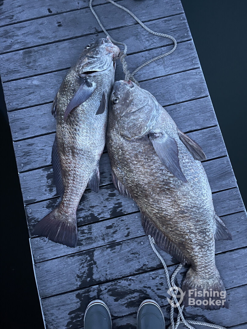 Cape May Report Photo 0