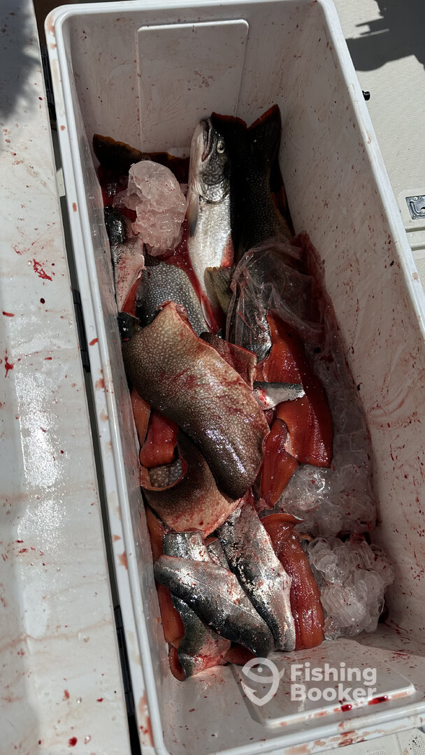 Waukegan Report Photo 0