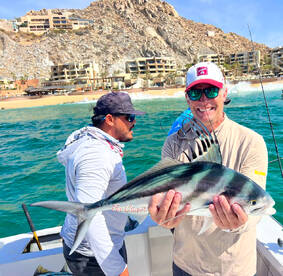Cabo San Lucas Report Photo 2
