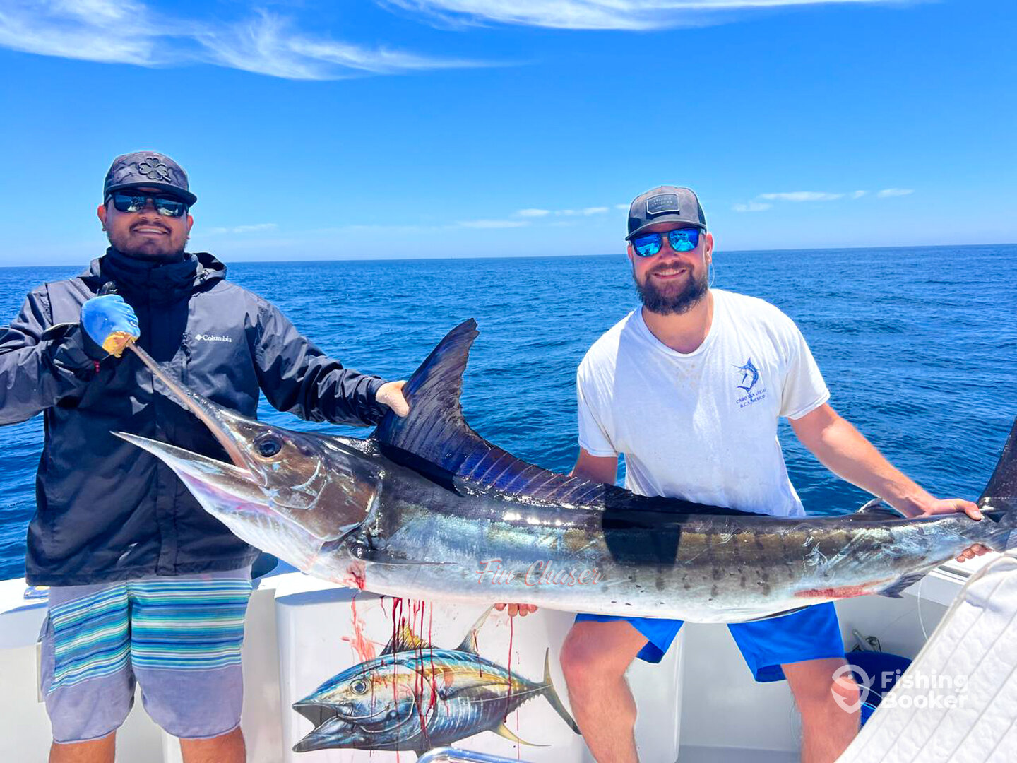 Cabo San Lucas Report Photo 0