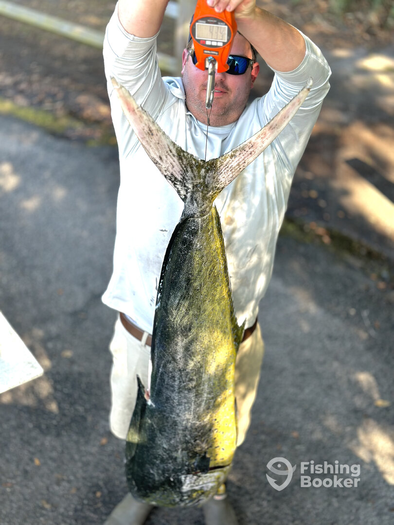 Charleston Report Photo 0