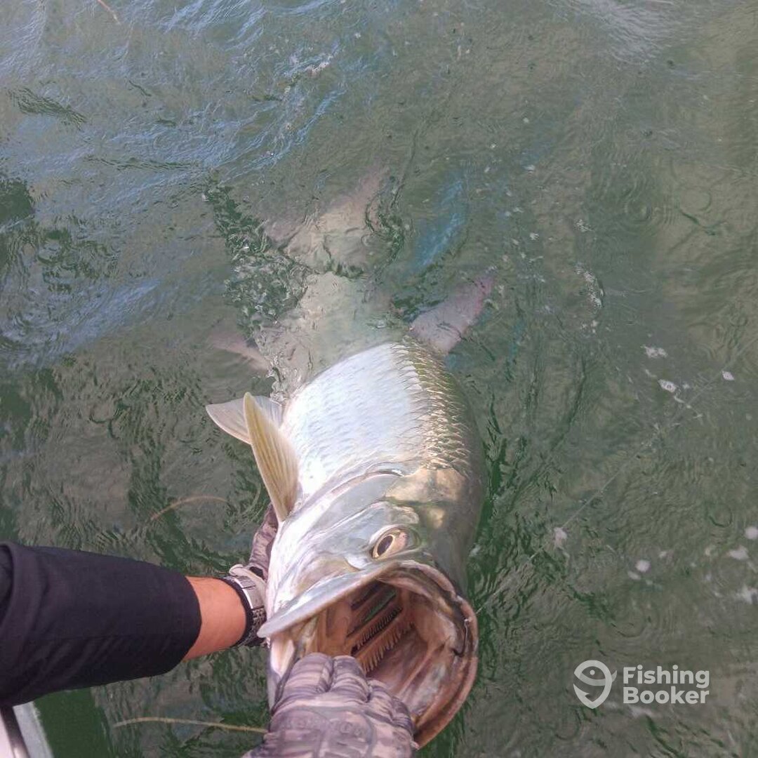 Key West Report Photo 0