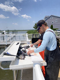 Ocean City Report Photo 1