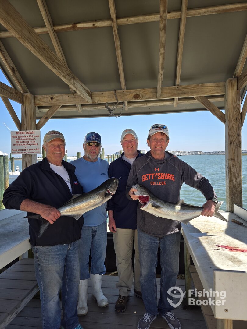 Avalon Report Photo 0