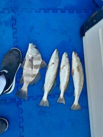 Niceville Report Photo 1