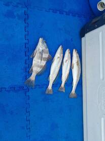 Niceville Report Photo 2