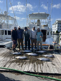 Manteo Report Photo 2