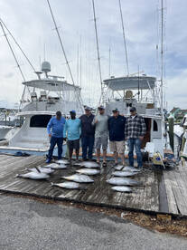 Yellowfin Tuna action Heating Up??