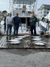 Manteo Report Photo 1