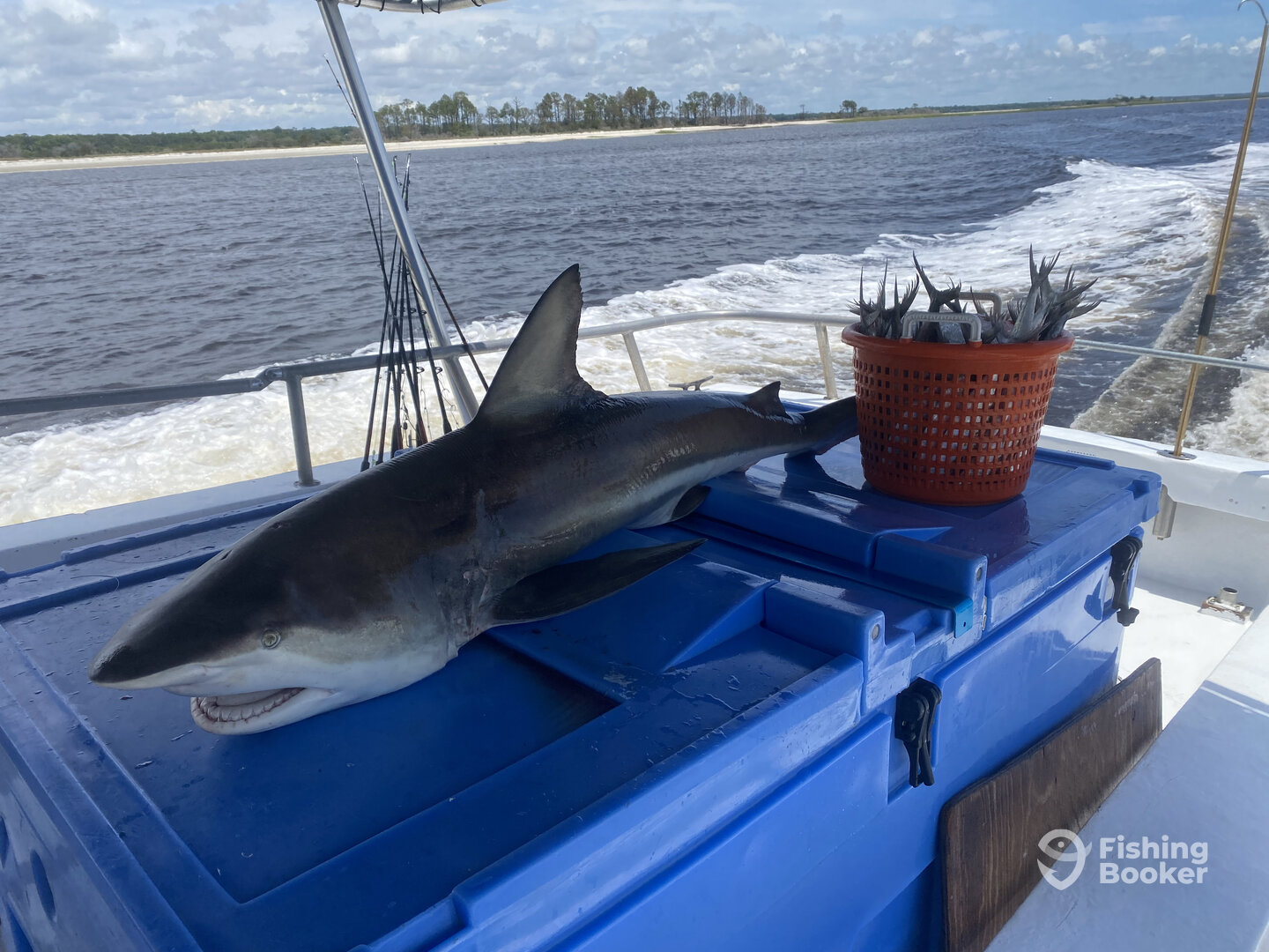 Little River Report Photo 0