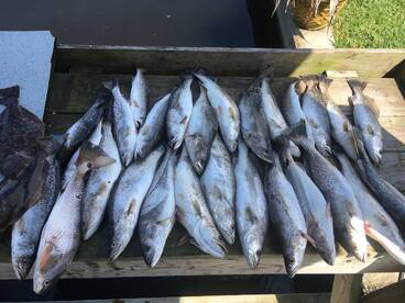 Slidell Report Photo 1