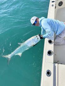 Tarpon fishing is red hot! 