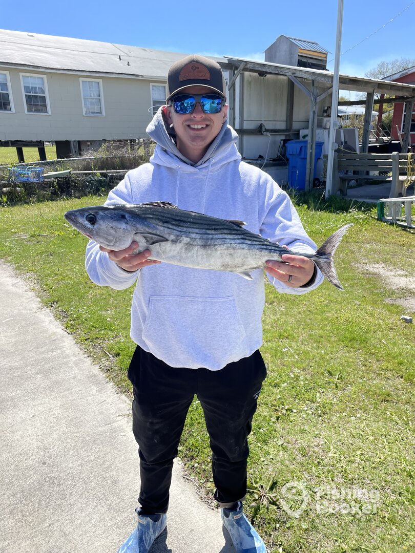 Sneads Ferry Report Photo 0