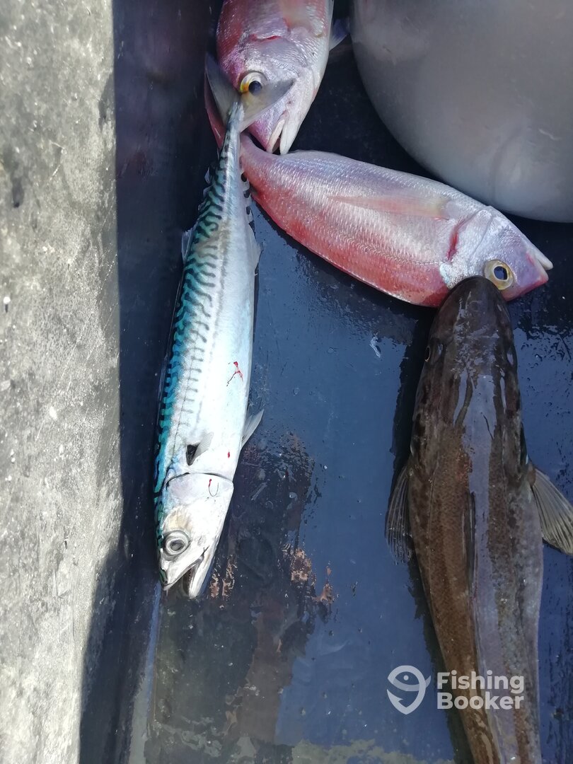 Zadar Report Photo 0