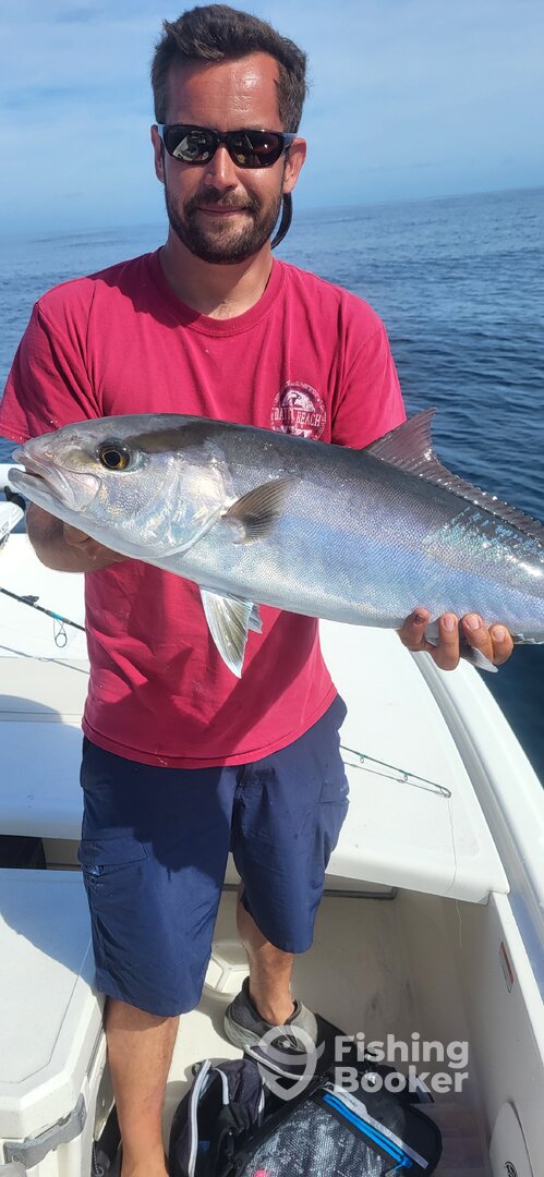 Sneads Ferry Report Photo 0