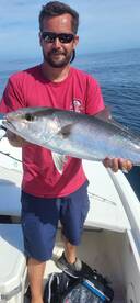 The schooling kings are thick!