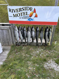 Manistee Report Photo 2