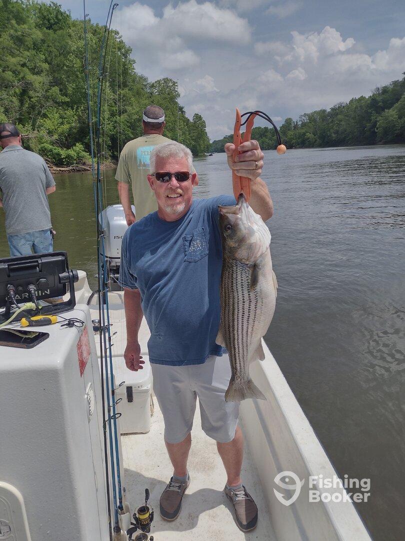 Weldon Report Photo 0